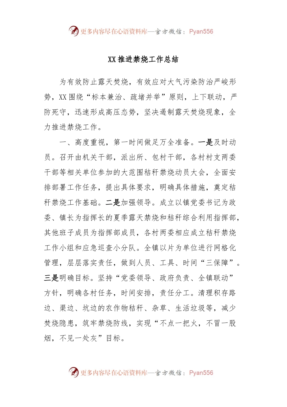 XX推进禁烧工作总结.docx_第1页