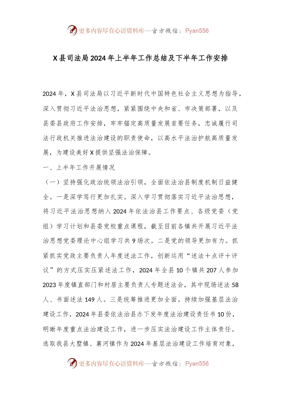 X县司法局2024年上半年工作总结及下半年工作安排.docx_第1页
