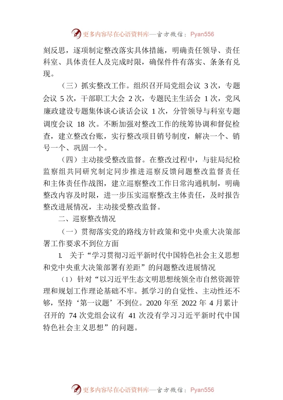 XX市自然资源和规划局党组关于巡察整改进展情况的通报.docx_第2页