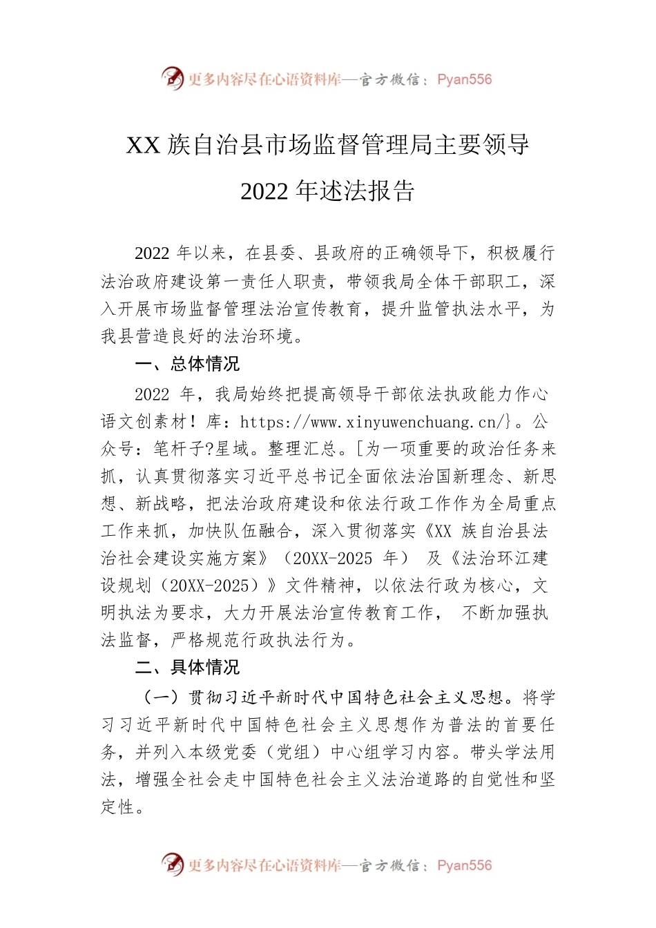 XX族自治县市场监督管理局主要领导2022年述法报告（20221226）.docx_第1页