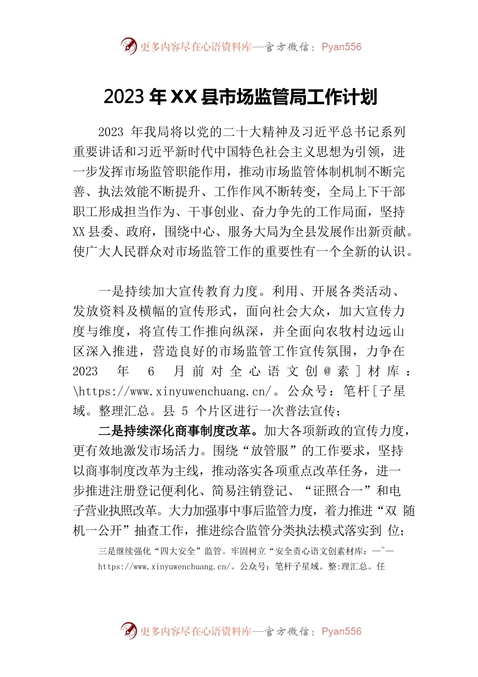 X县市场监督管理局2023年工作计划.docx_第1页
