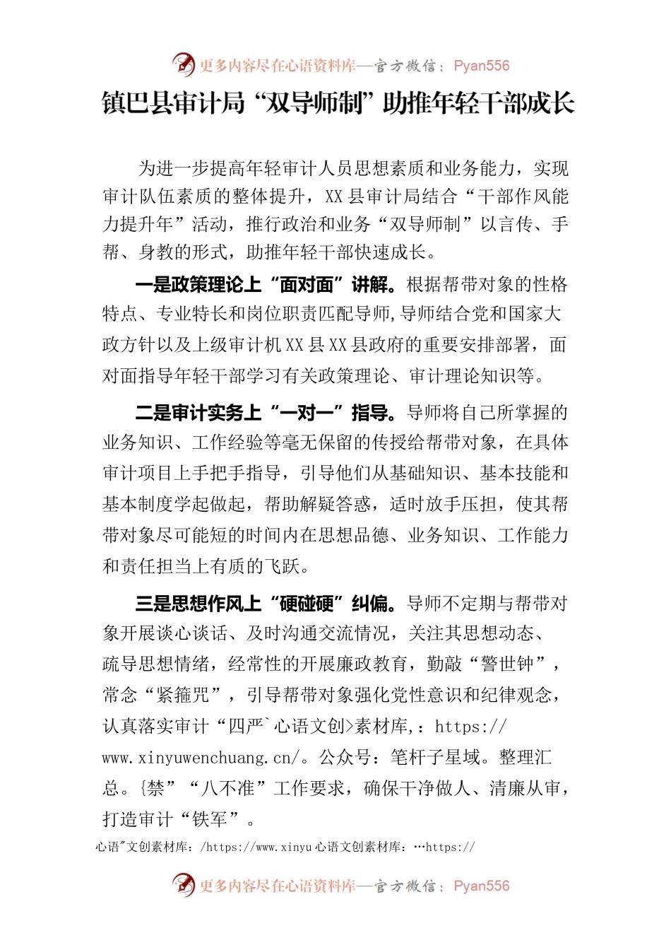 X县审计局“双导师制”助推年轻干部成长.docx_第1页