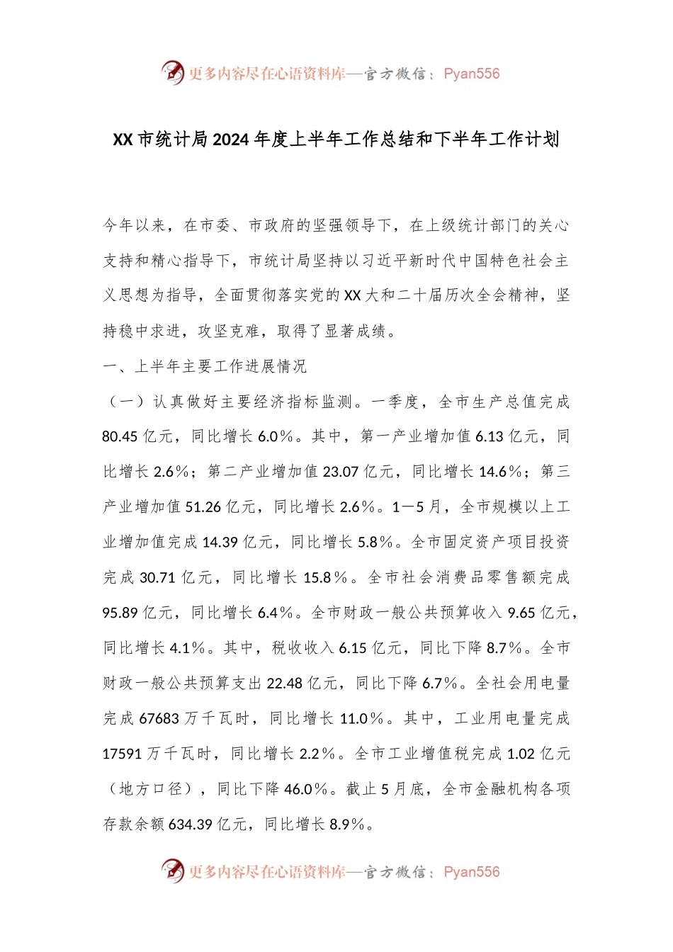 XX市统计局2024年度上半年工作总结和下半年工作计划.docx_第1页