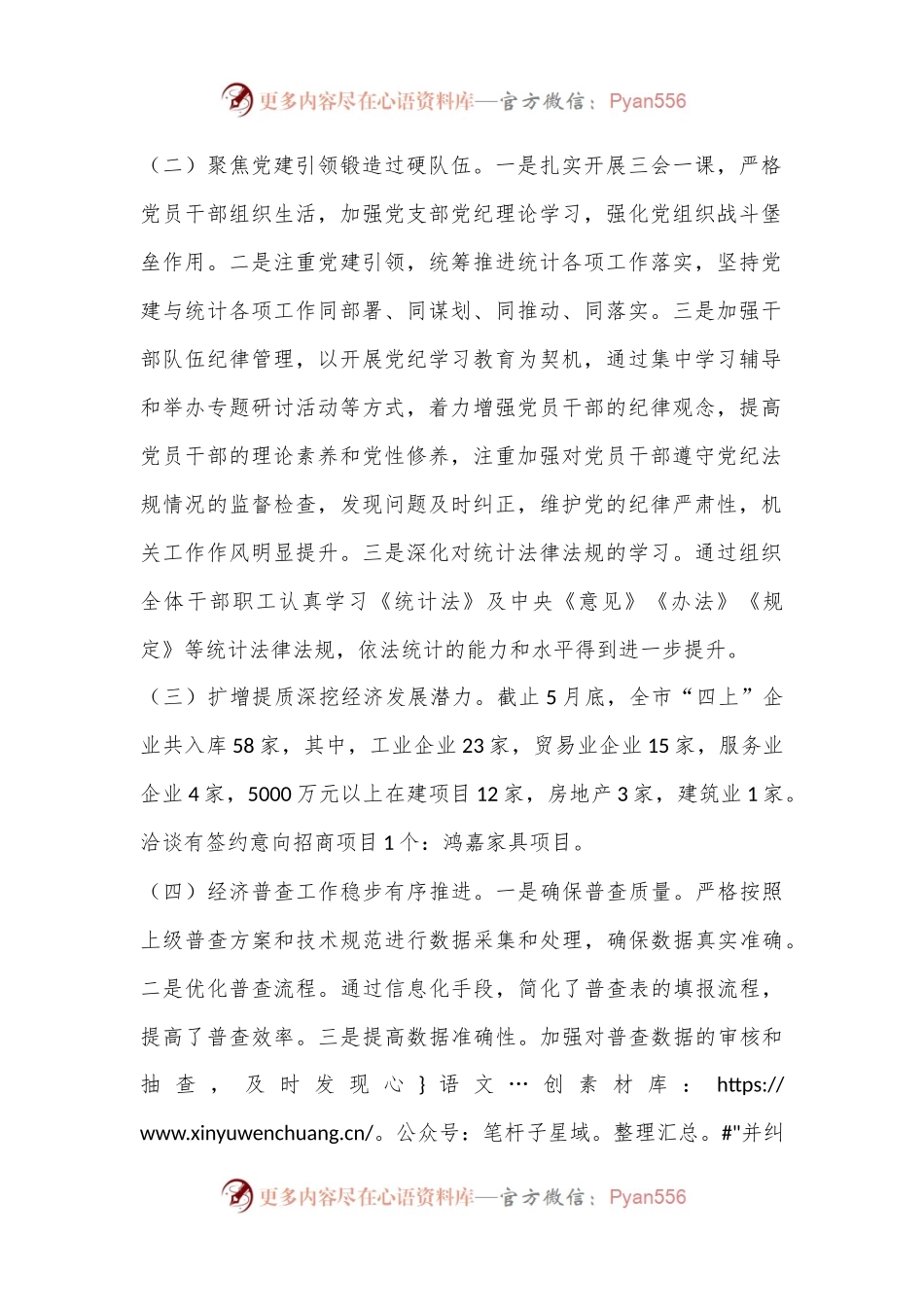 XX市统计局2024年度上半年工作总结和下半年工作计划.docx_第2页