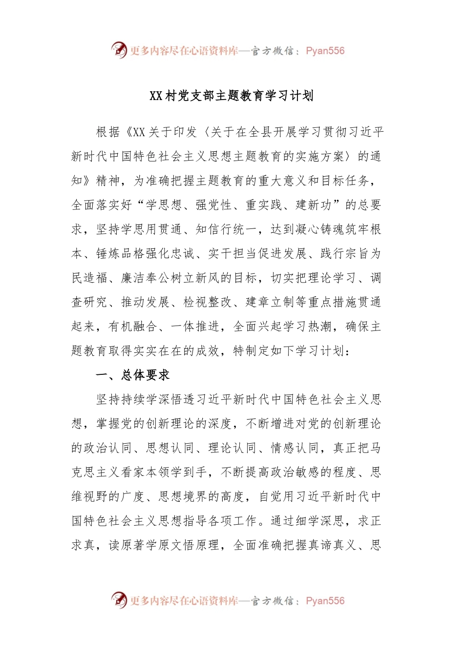 XX村党支部主题教育学习计划.docx_第1页