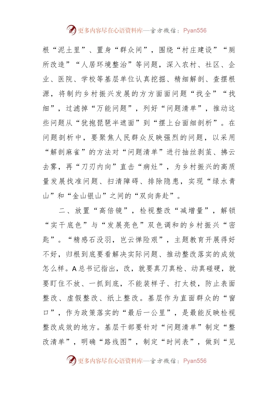 XX街道党员干部主题教育研讨材料：藏于“整改之履”的乡村振兴“密匙”.docx_第2页