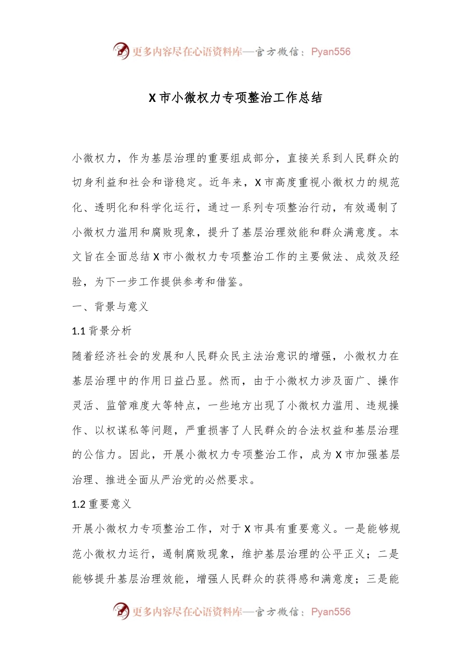 X市小微权力专项整治工作总结.docx_第1页