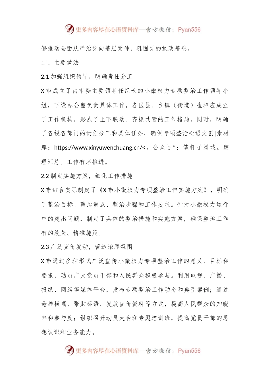 X市小微权力专项整治工作总结.docx_第2页