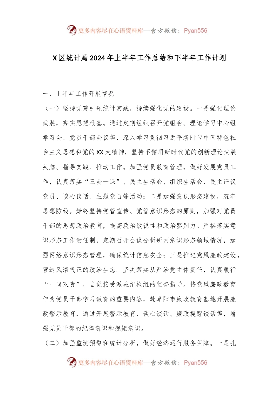X区统计局2024年上半年工作总结和下半年工作计划.docx_第1页