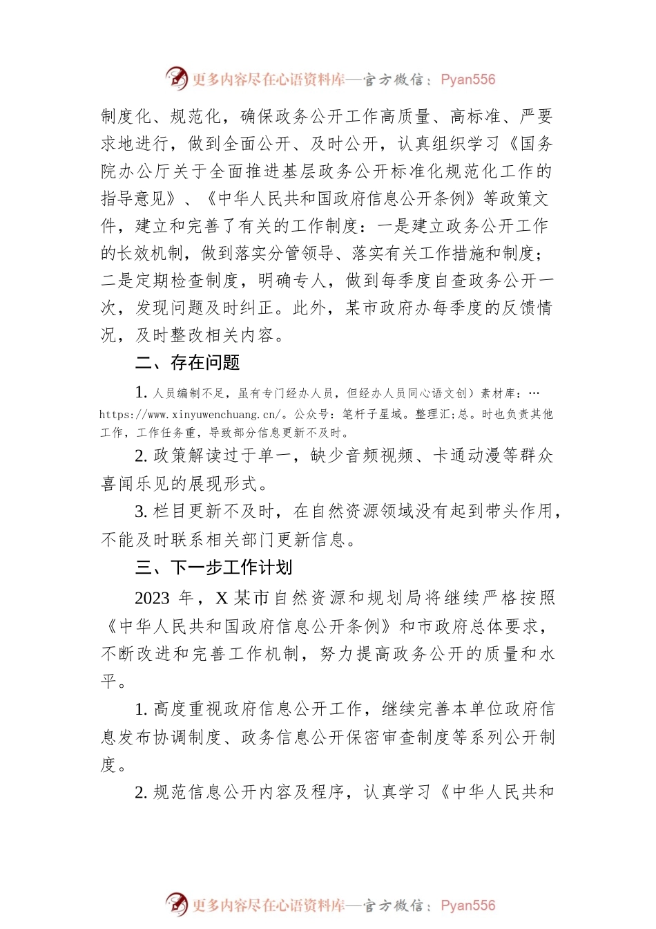 XX市自然资源和规划局2022年度政务公开工作总结和2023年工作计划.docx_第2页