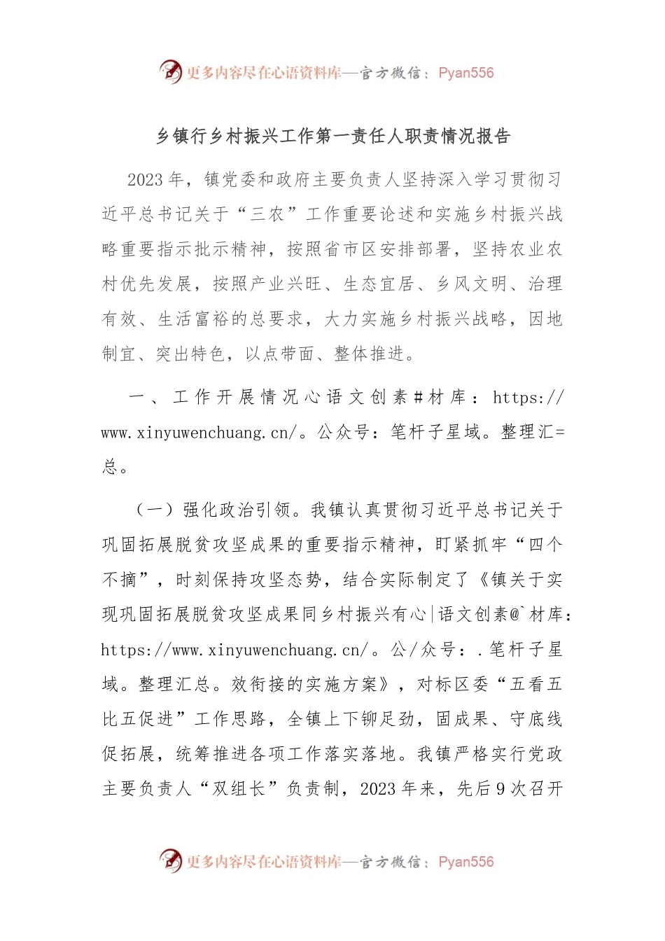 乡镇行乡村振兴工作第一责任人职责情况报告.docx_第1页
