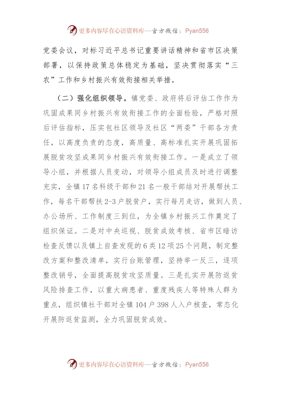乡镇行乡村振兴工作第一责任人职责情况报告.docx_第2页