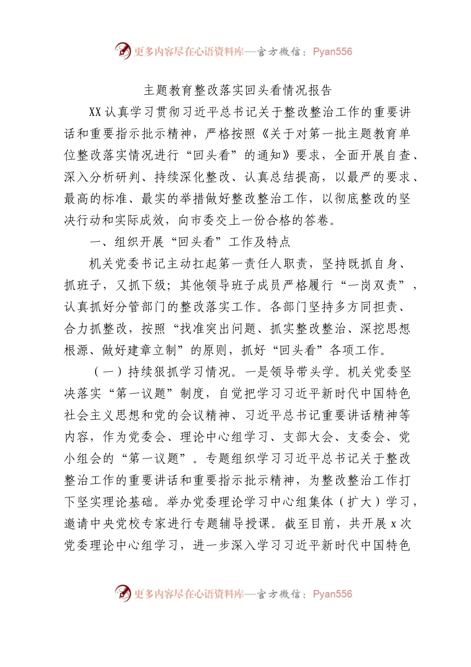 主题教育整改落实回头看工作报告（2300字总结）.docx_第1页