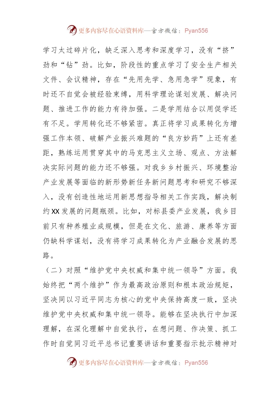 乡镇党委书记主题教育专题民主生活会资料.docx_第2页