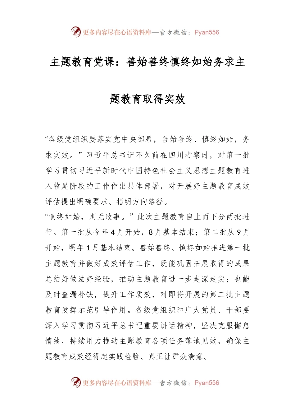 主题教育党课：善始善终慎终如始务求主题教育取得实效.docx_第1页