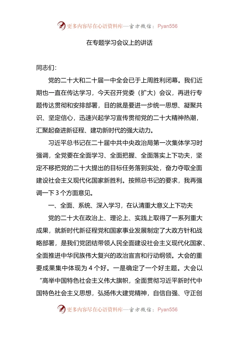 专题学习：在专题学习会议上的讲话.docx_第1页