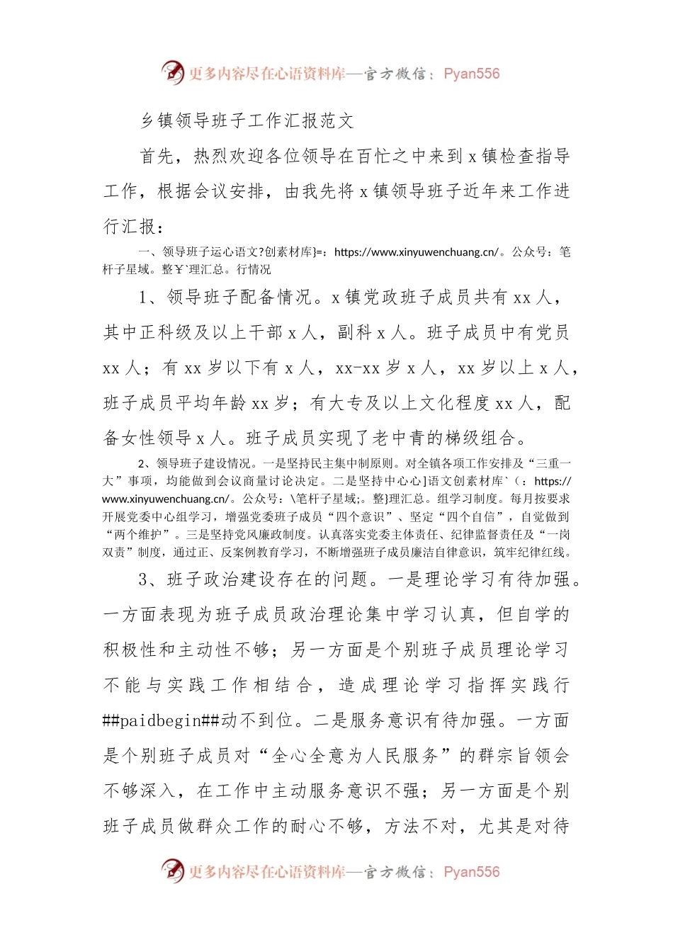 乡镇领导班子工作汇报范文.docx_第1页