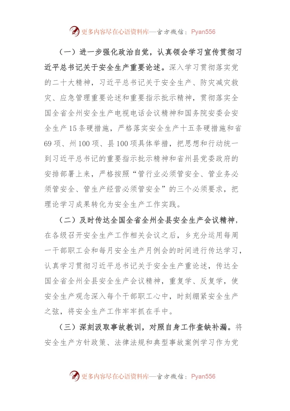 乡2023年安全生产目标责任制自检自查报告.docx_第2页