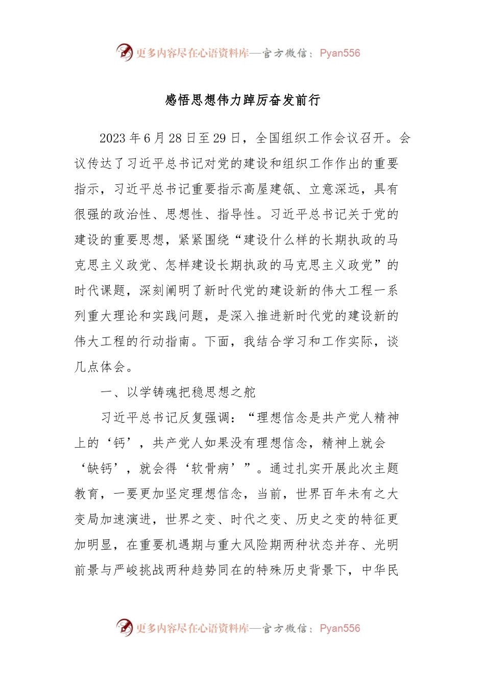 主题教育第二次交流发言材料：感悟思想伟力踔厉奋发前行.docx_第1页