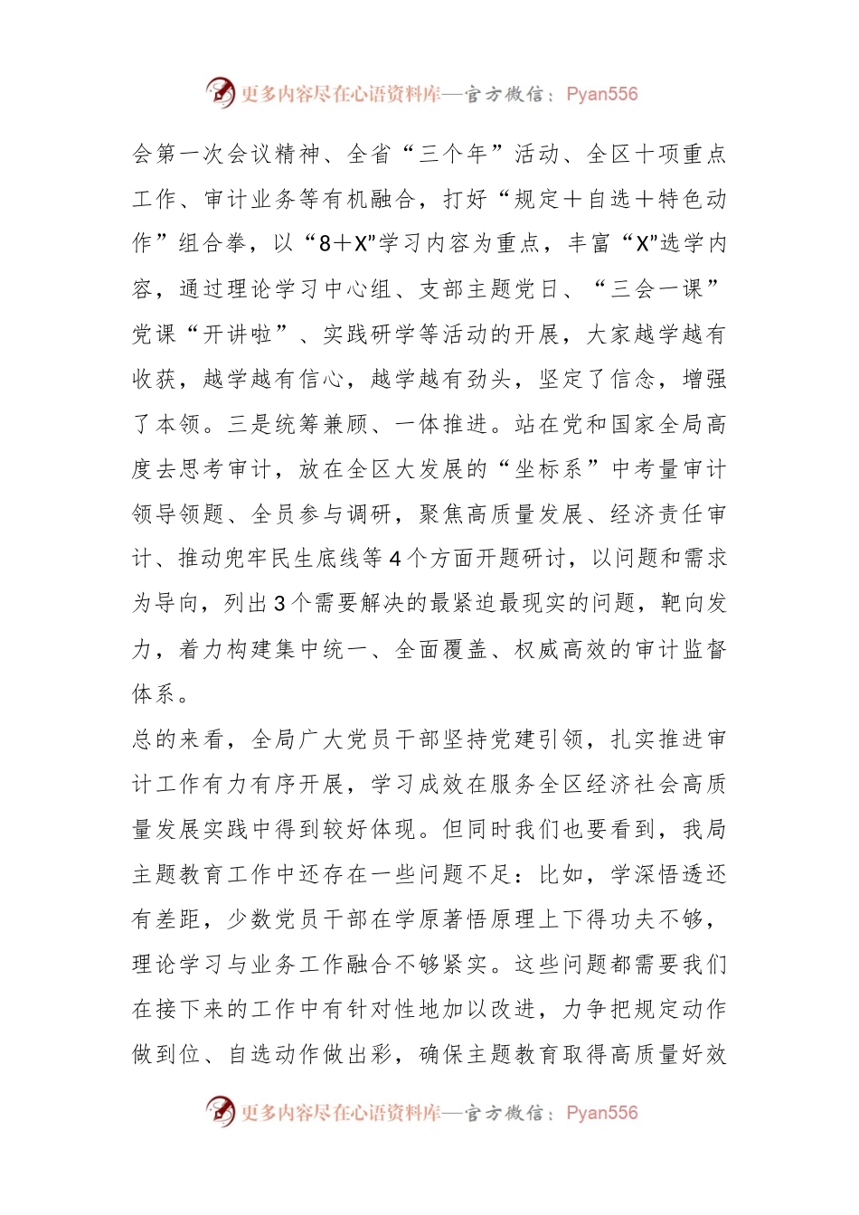 主题教育党课讲稿：以有力有效的审计监督服务保障全区经济社会发展大局.docx_第2页