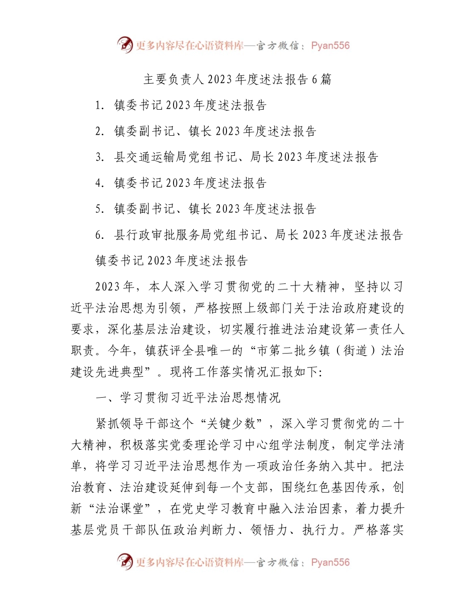 主要负责人述法报告合集6篇.docx_第1页
