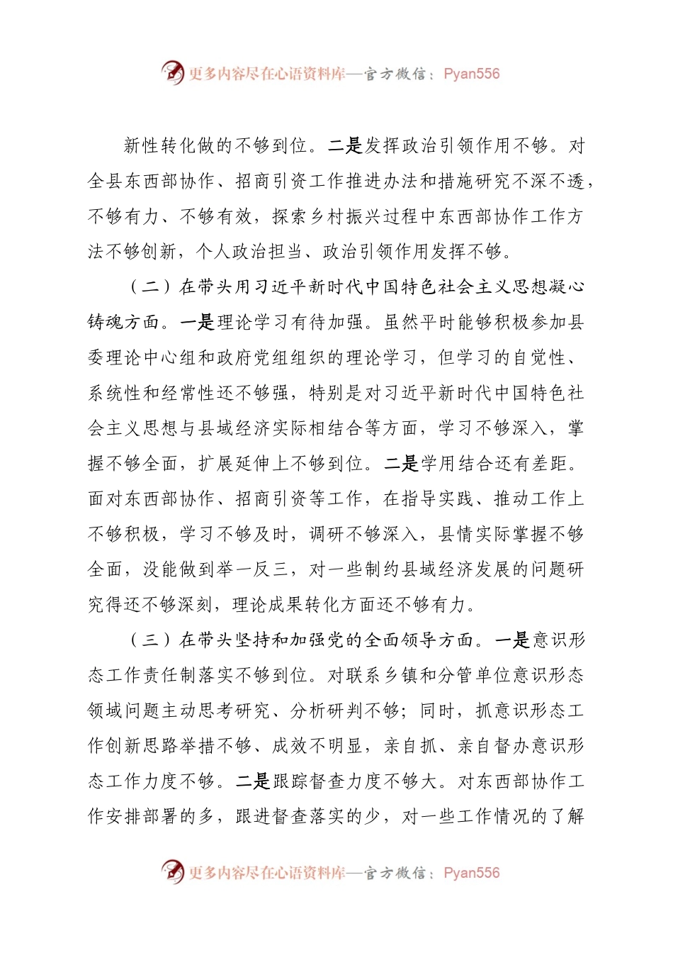 个人挂职副县长2022年度民主生活会发言提纲.docx_第2页