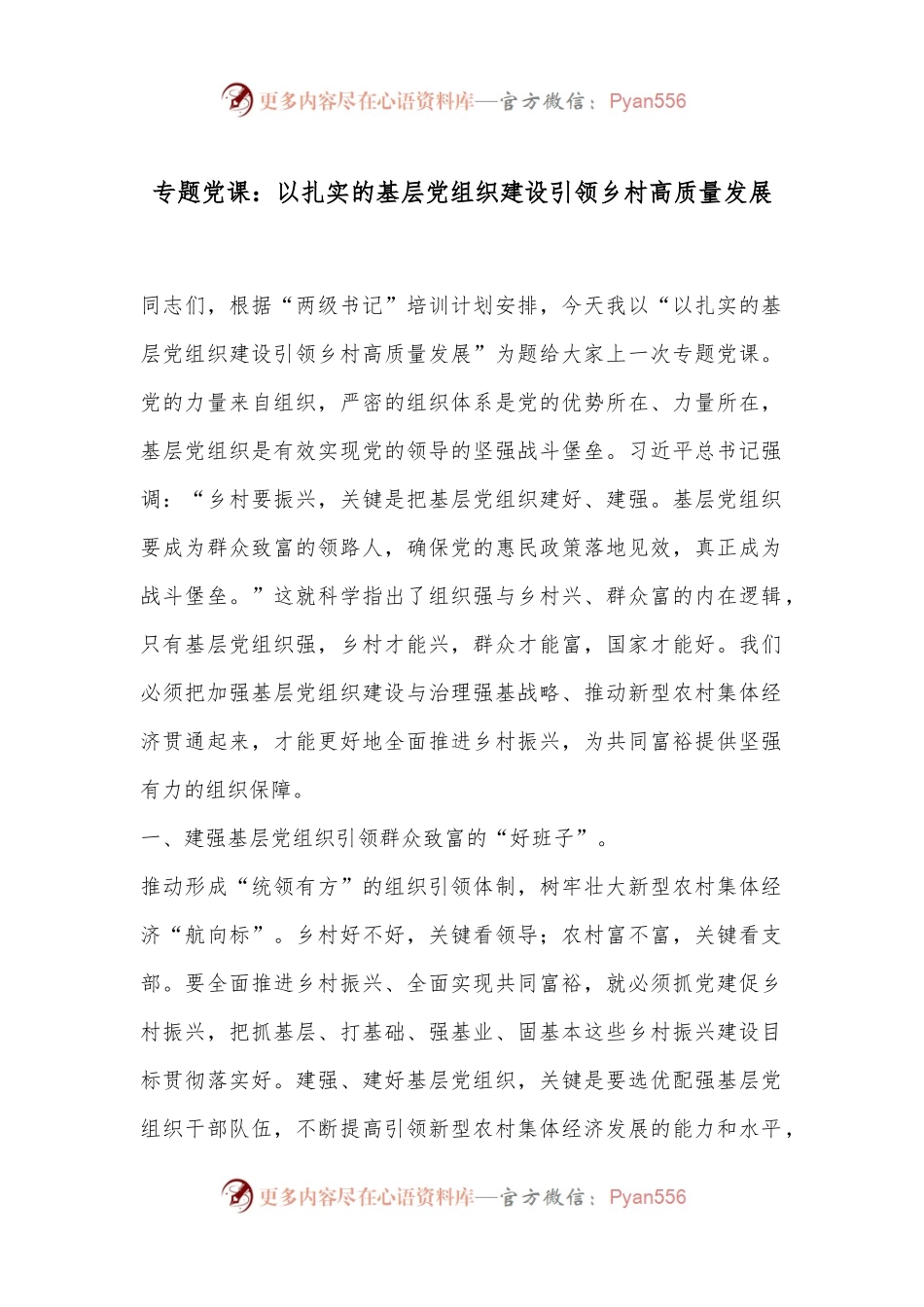 专题党课：以扎实的基层党组织建设引领乡村高质量发展.docx_第1页