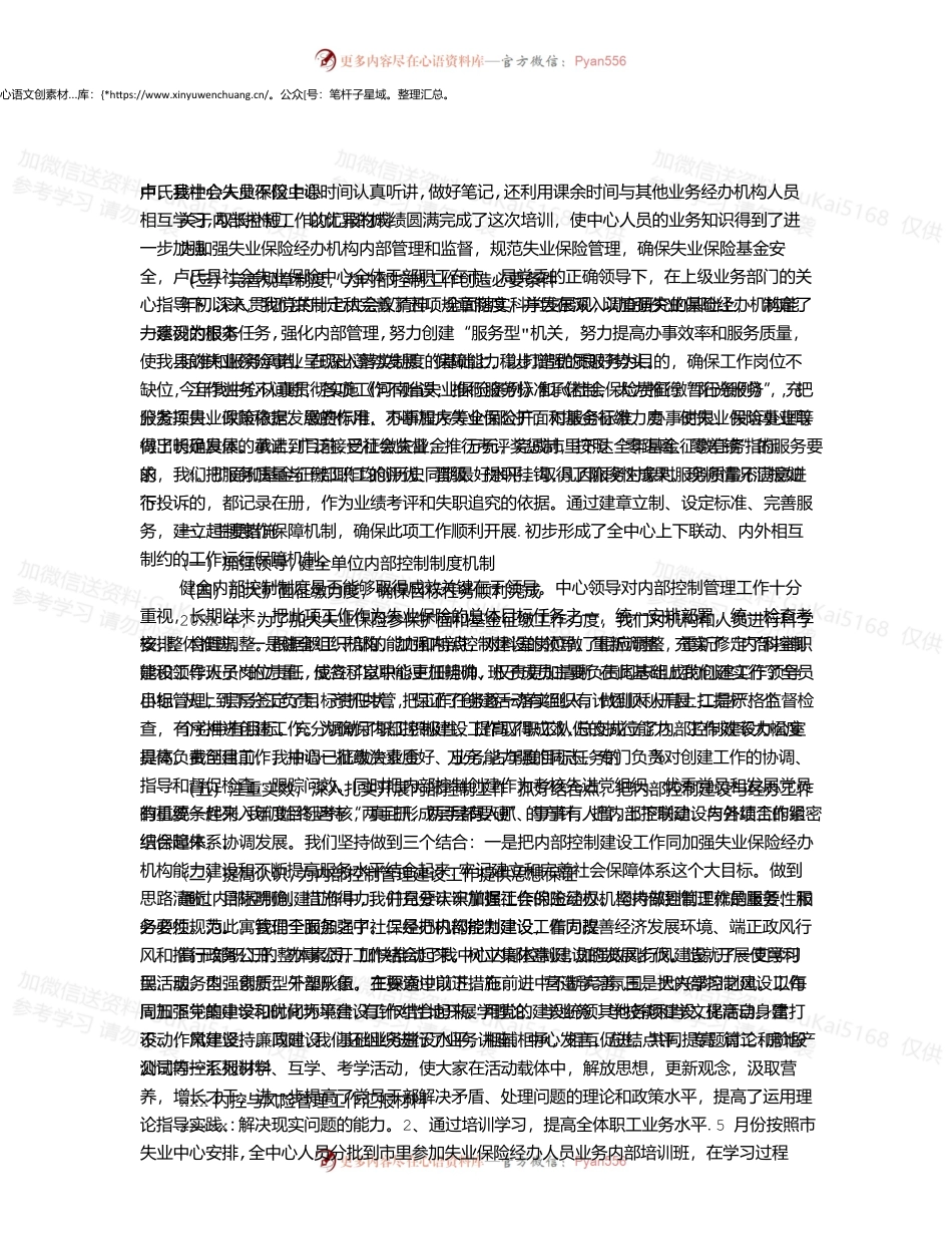 企业内控汇报材料.docx_第1页