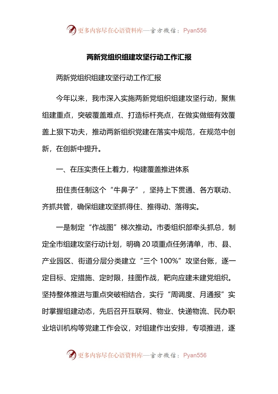 两新党组织组建攻坚行动工作汇报.docx_第1页