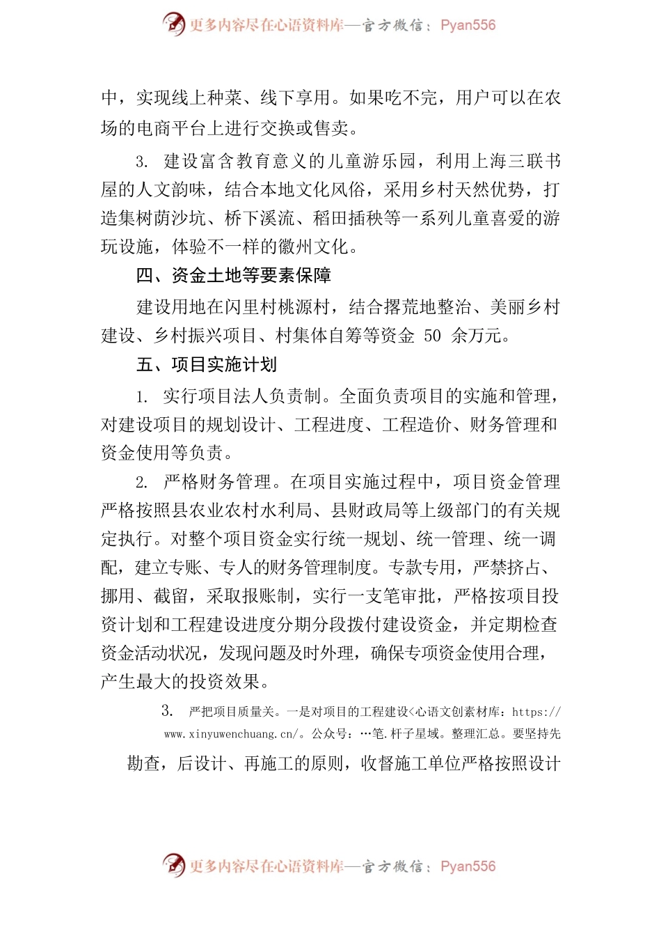 乡村运营项目实施方案（模板）.docx_第2页