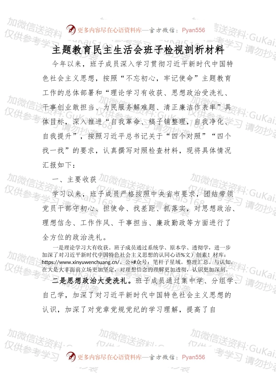 主题教育民主生活会班子检视剖析材料.docx_第1页