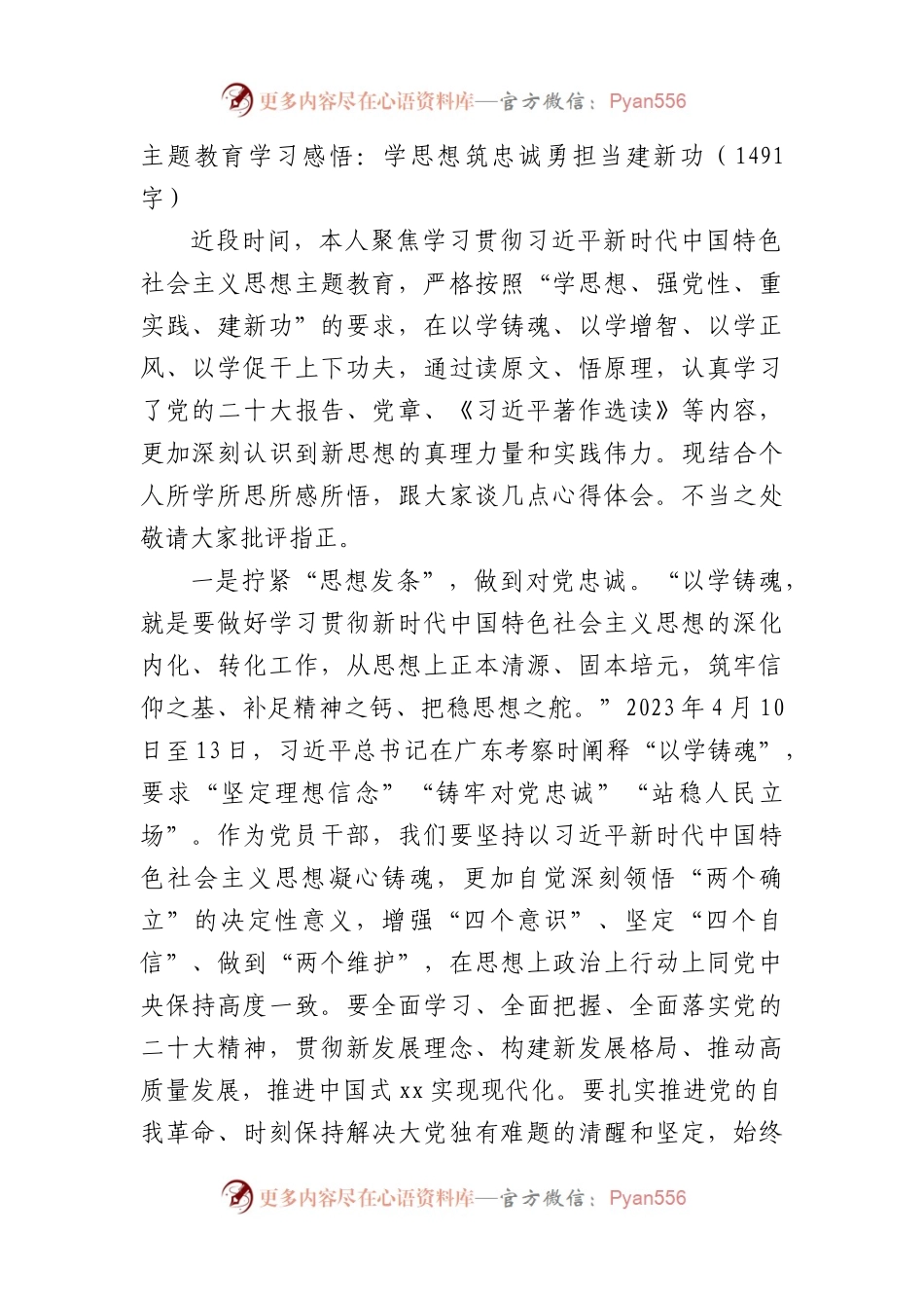主题教育学习感悟：学思想筑忠诚勇担当建新功.docx_第1页