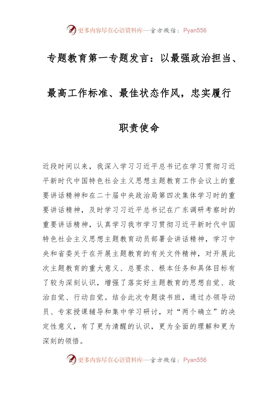 专题教育第一专题发言：以最强政治担当、最高工作标准、最佳状态作风，忠实履行职责使命.docx_第1页