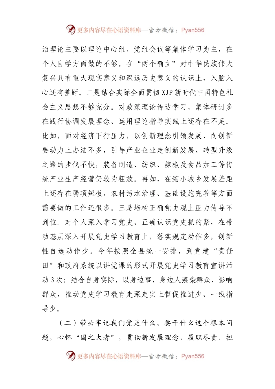 个人2021年度专题民主生活会对照检查材料（县长）.docx_第2页