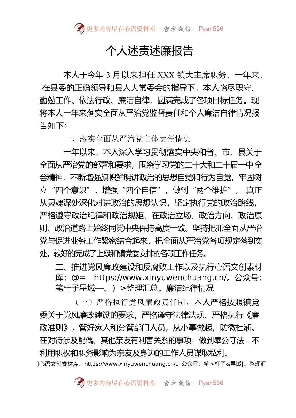 乡镇人大主席2022年度个人述责述廉报告.docx_第1页