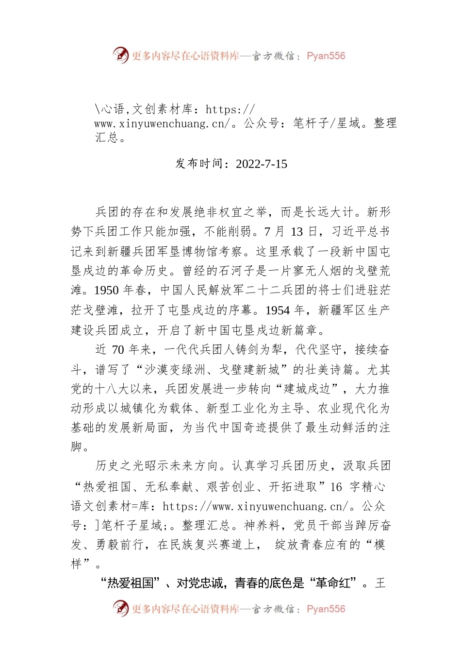 传承“兵团精神”绽放“青春模样”.docx_第1页