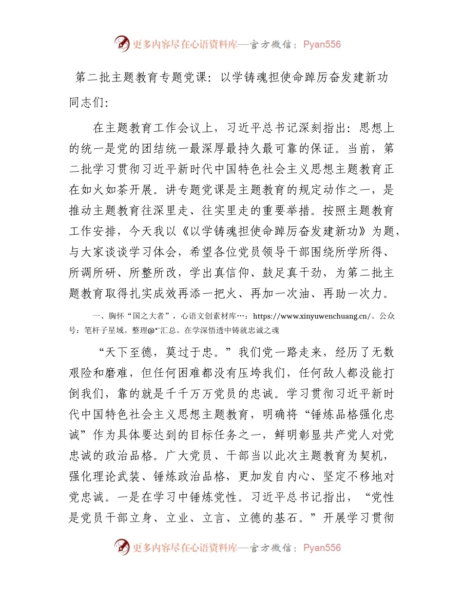 主题教育党课：以学铸魂担使命踔厉奋发建新功.docx_第1页