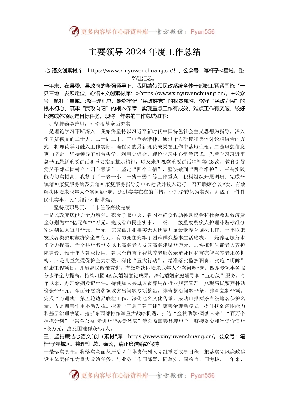 主要领导2024年度工作总结.docx_第1页