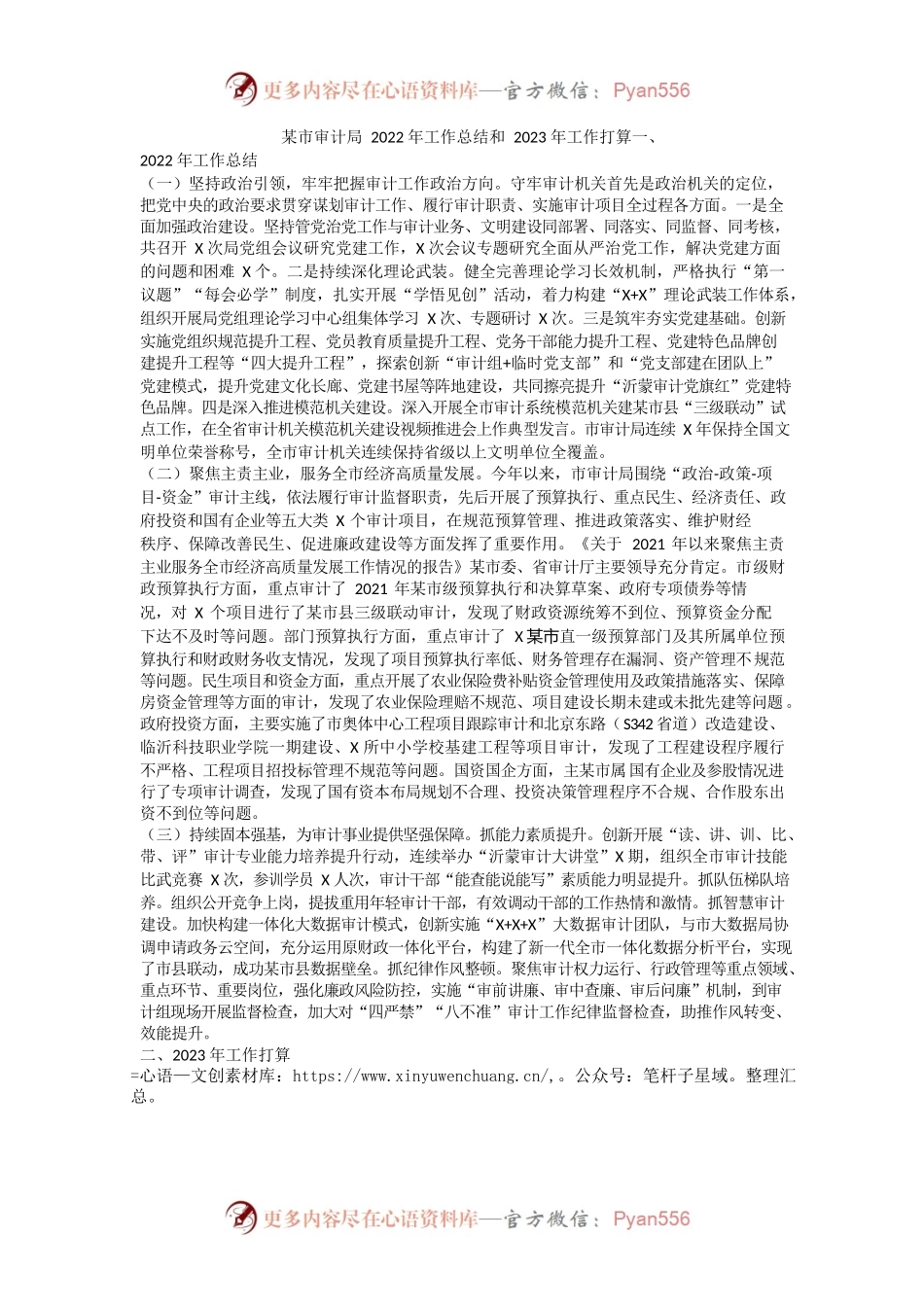 临沂市审计局2022年工作总结和2023年工作打算.docx_第1页