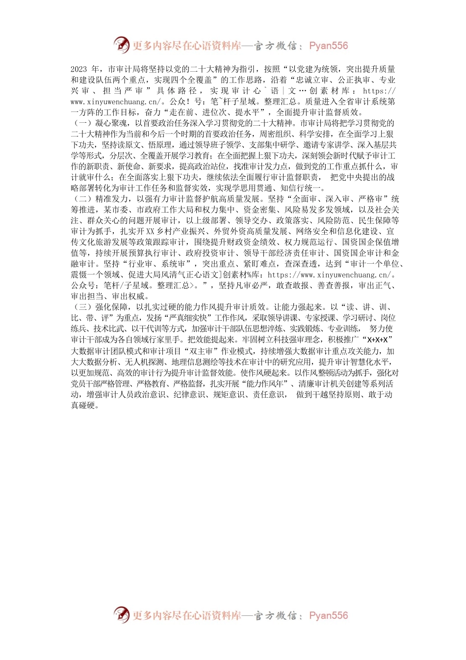 临沂市审计局2022年工作总结和2023年工作打算.docx_第2页