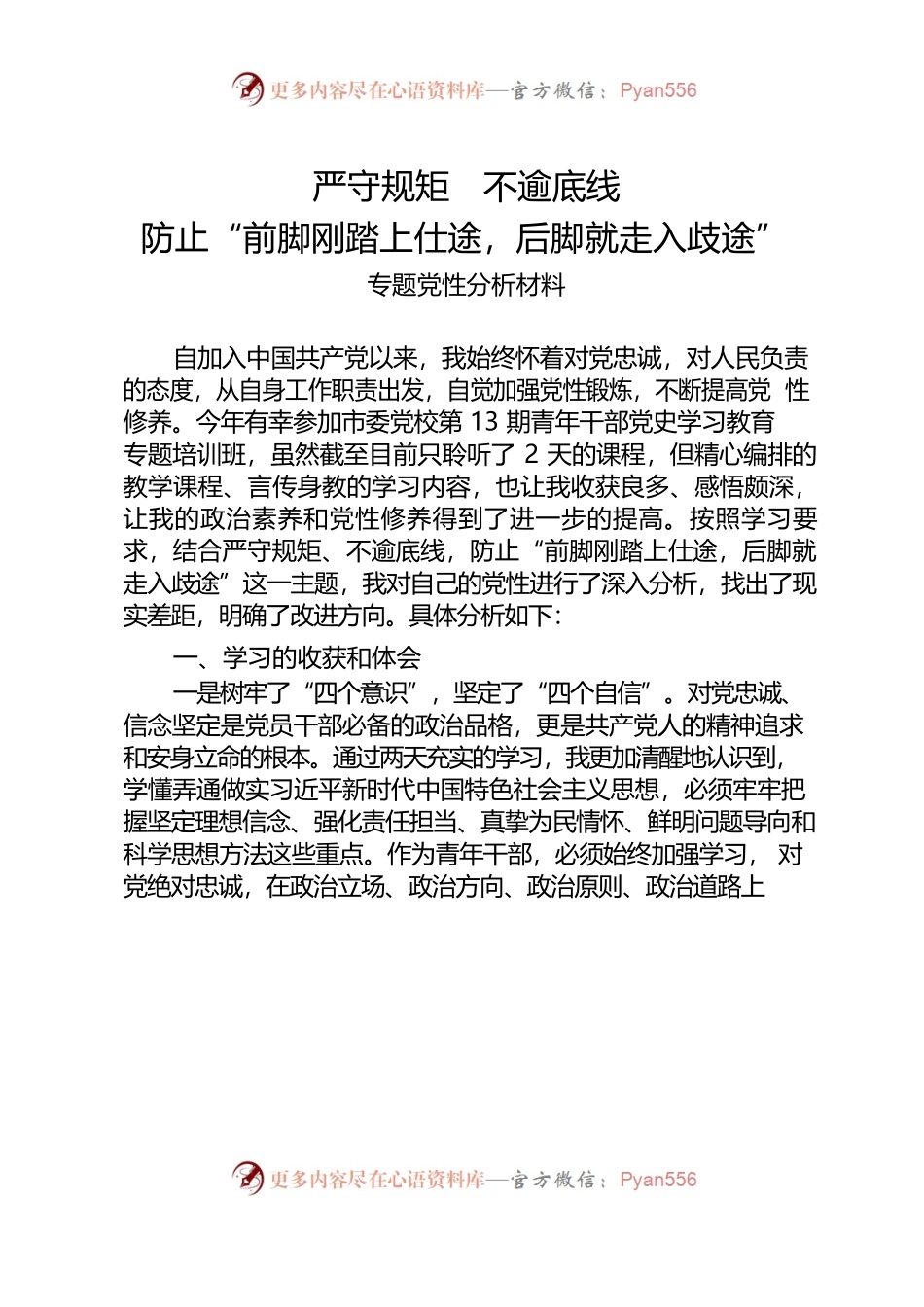 严守规矩  不逾底线  专题党性分析材料. doc.docx_第1页