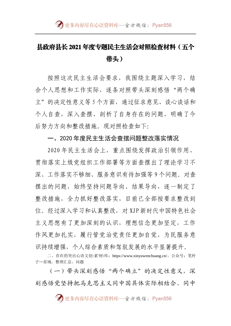 个人2021年度专题民主生活会对照检查材料[县长].docx_第1页