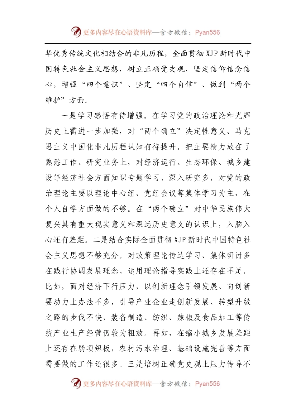 个人2021年度专题民主生活会对照检查材料[县长].docx_第2页