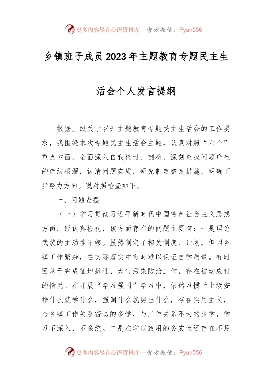 乡镇班子成员2023年主题教育专题民主生活会个人发言稿提纲.docx_第1页
