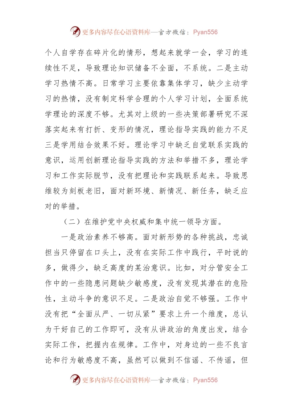 乡镇人大主席2023年度专题民主生活会发言稿提纲（践行宗旨等6个方面+典型案例+政绩观）.docx_第2页