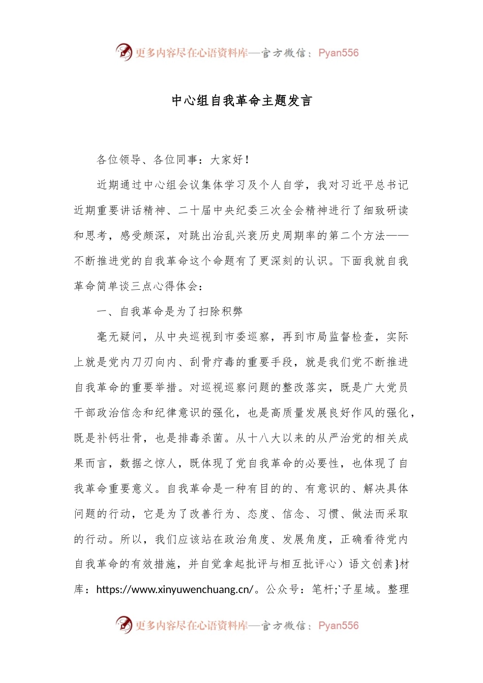 中心组自我革命主题发言.docx_第1页