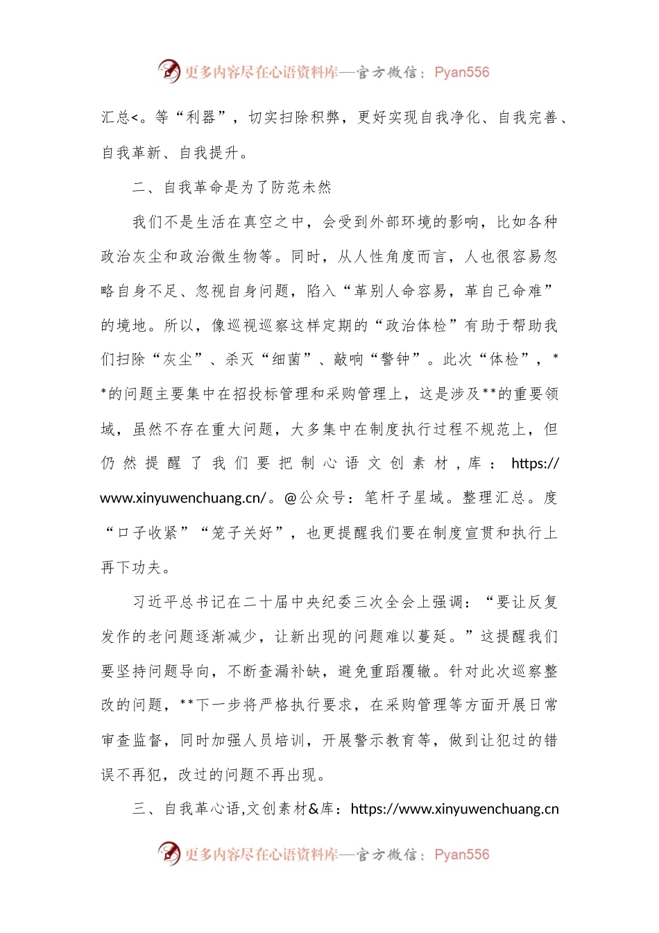 中心组自我革命主题发言.docx_第2页