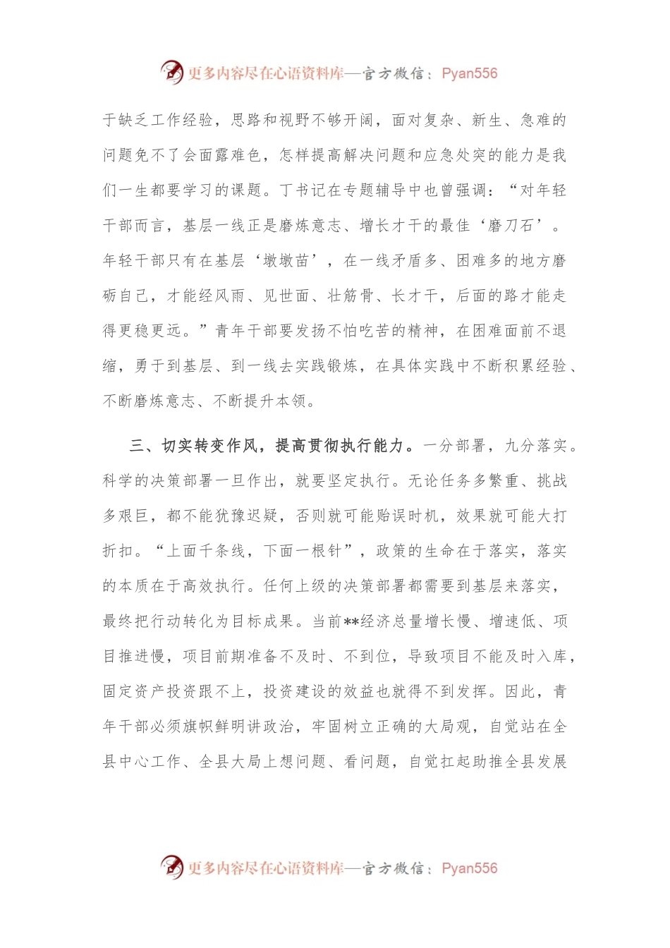 交流研讨发言材料：青年干部要提高“四个本领” 推动工作落实.docx_第2页