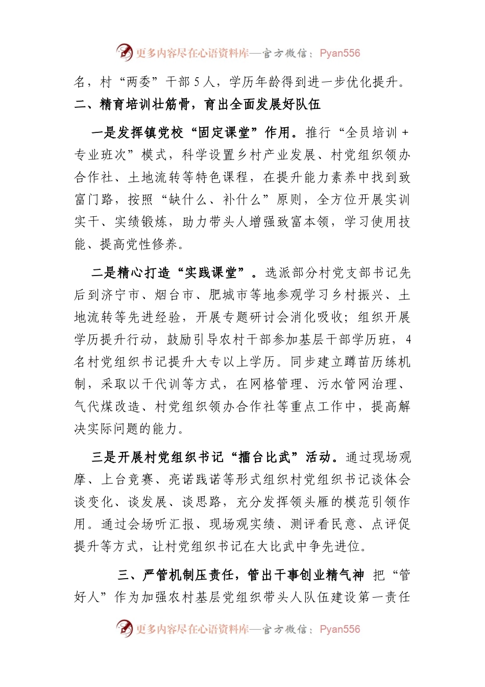 乡镇党委基层党组织带头人队伍建设工作汇报.docx_第2页