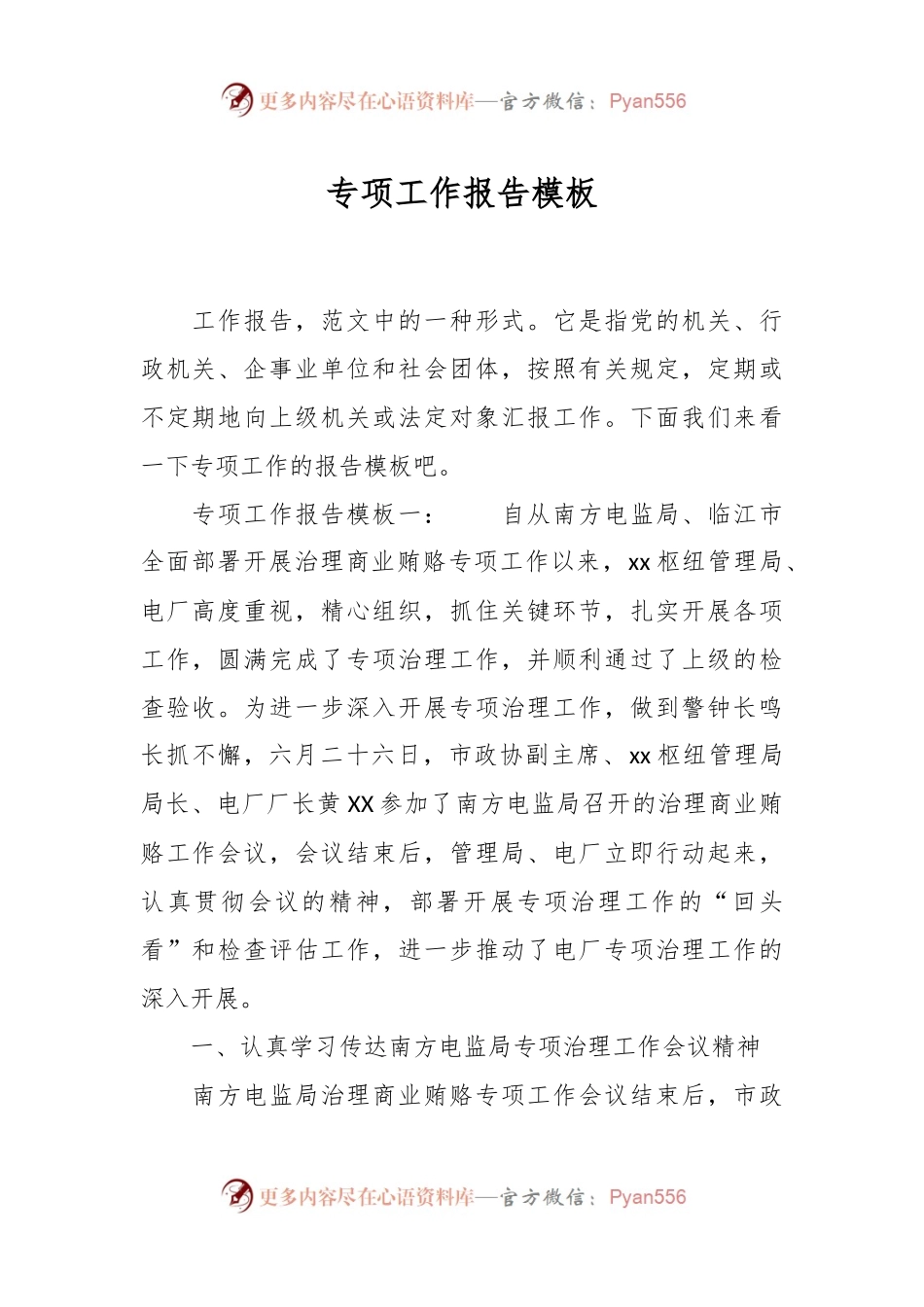 专项工作报告模板.docx_第1页